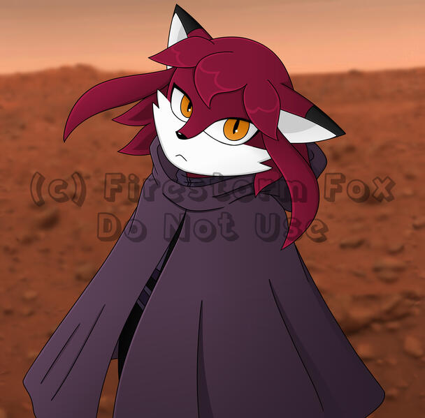 Rubi Cloak Wind, 2019